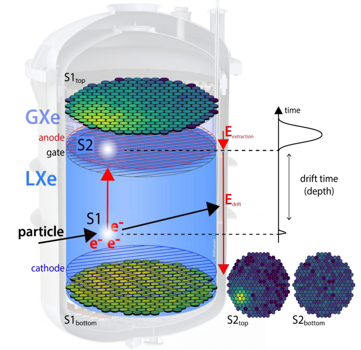 XENON TPC cutaway showing liquid and gas xenon, S1 and S2, drift and extraction fields, signal timing and PMT hit patterns