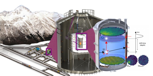 The XENONnT Experiment